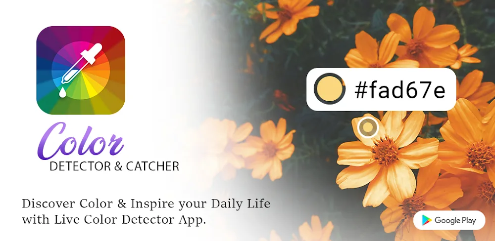 Color Detector & Catcher MOD APK Cover