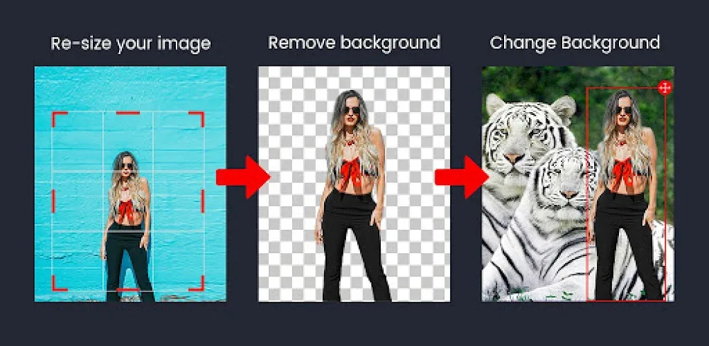 Photo Background Changer: Edit MOD APK Cover